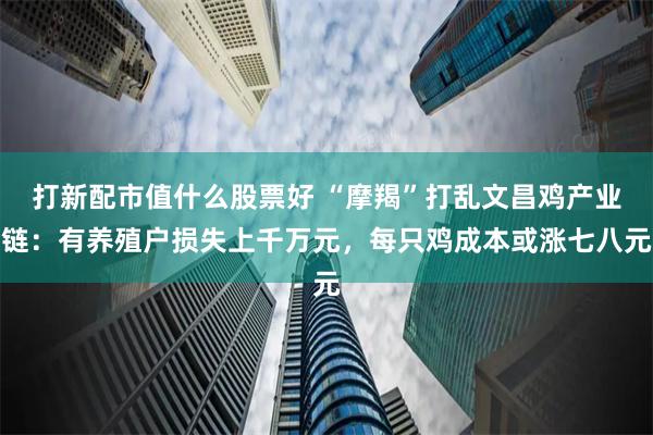 打新配市值什么股票好 “摩羯”打乱文昌鸡产业链：有养殖户损失上千万元，每只鸡成本或涨七八元