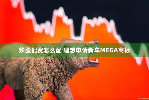 炒股配资怎么配 理想申请新车MEGA商标